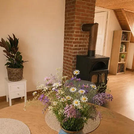 Danmonhus Hygge Borre