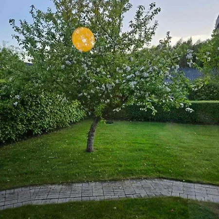 Danmonhus Hygge Dom wakacyjny *
